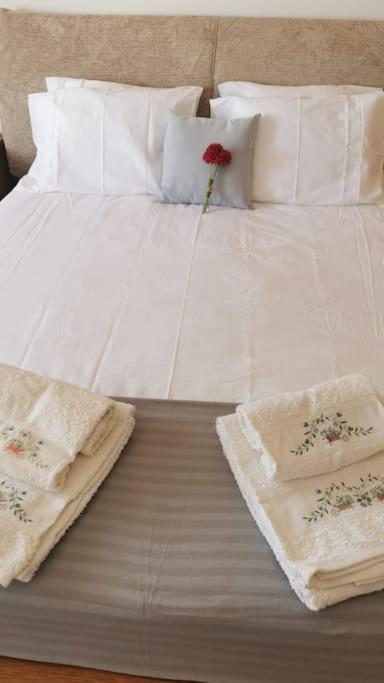 Amazing Lodge By The Ocean - Fully Equipped! Ericeira Luaran gambar