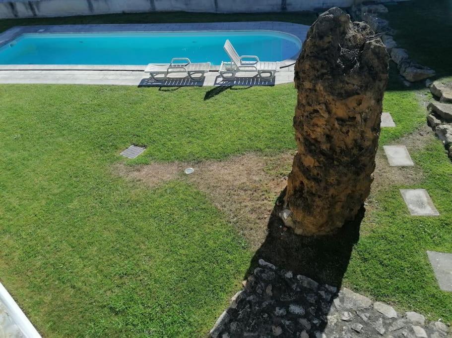 Amazing Lodge By The Ocean - Fully Equipped! Ericeira Luaran gambar